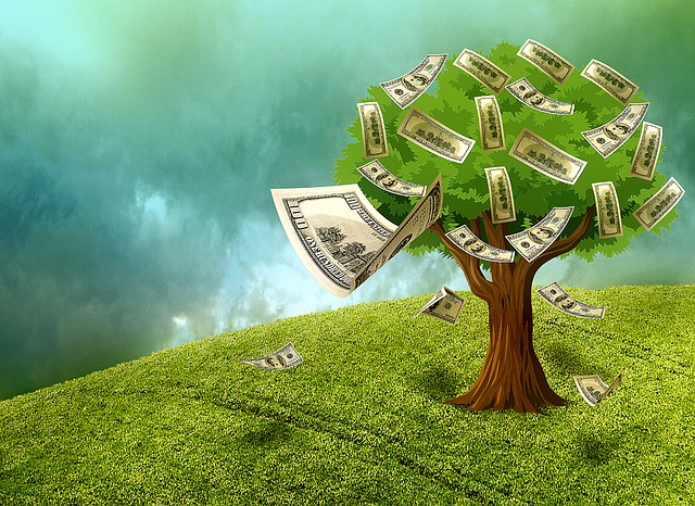 bankovky na stromě.jpg